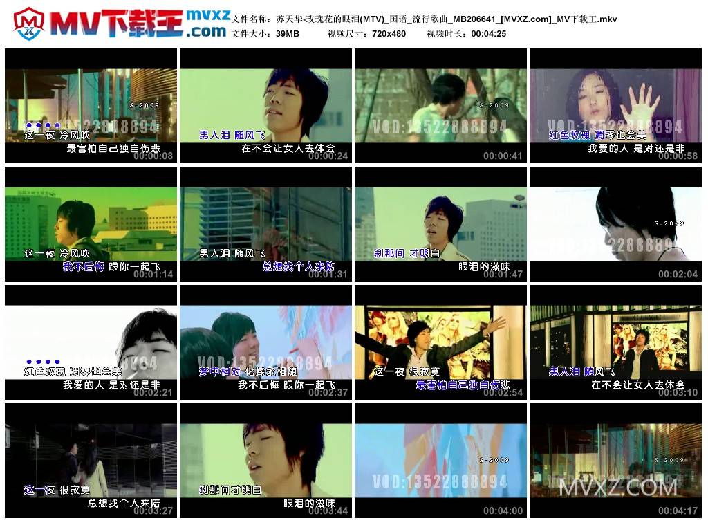 苏天华-玫瑰花的眼泪(MTV)_国语_流行歌曲_MB206641